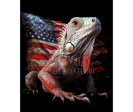 koszulka Iguana USA. T-shirt jakości premium SUB433 czarna koszulka oversize 100% bawełna
